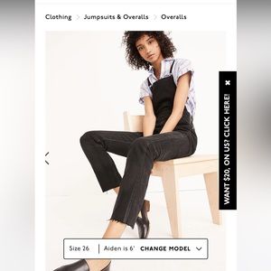 Skinny Overalls in Lunar Wash - size 2x